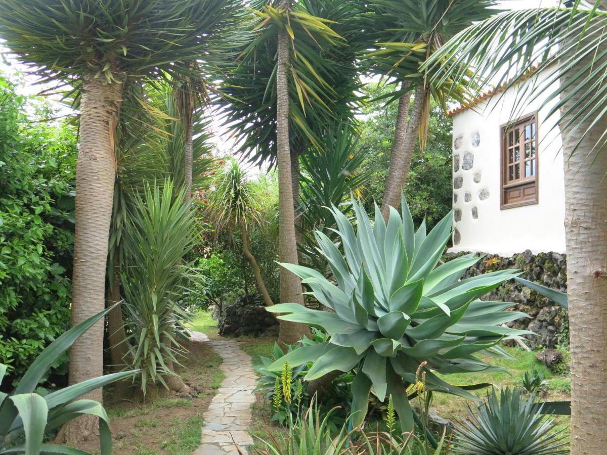 Апартаменты La Casita De La Vega Икод-де-лос-Винос Экстерьер фото