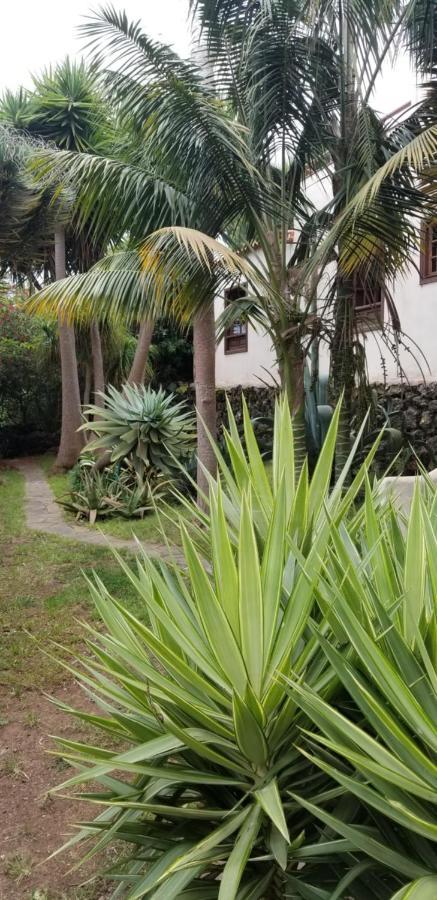 Апартаменты La Casita De La Vega Икод-де-лос-Винос Экстерьер фото