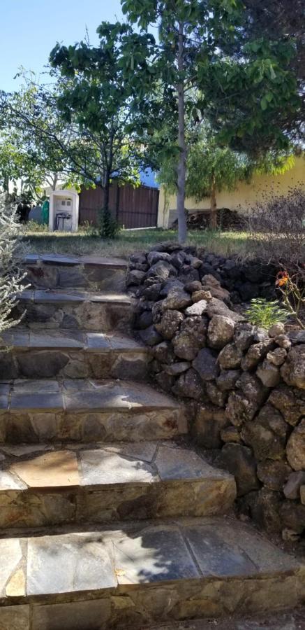 Апартаменты La Casita De La Vega Икод-де-лос-Винос Экстерьер фото