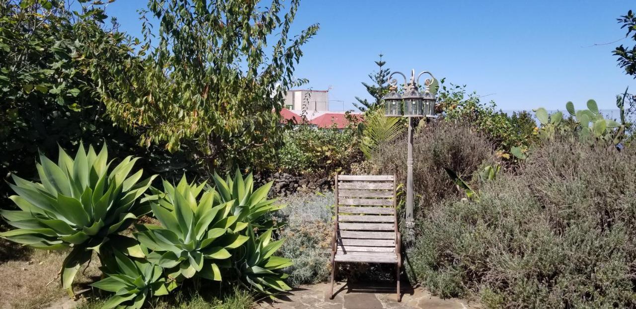 Апартаменты La Casita De La Vega Икод-де-лос-Винос Экстерьер фото