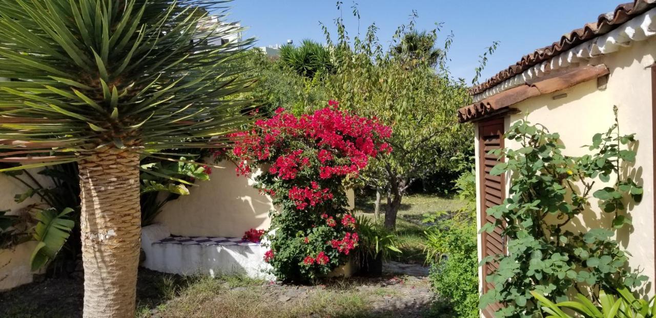 Апартаменты La Casita De La Vega Икод-де-лос-Винос Экстерьер фото